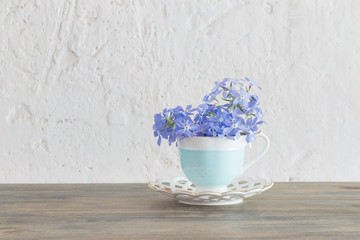 periwinkle in cup on wooden table
