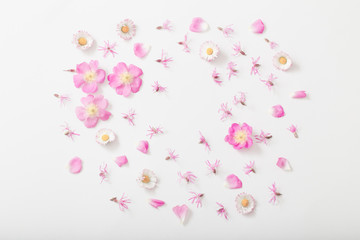 summer flowers on white background