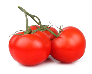 Tomatoes isolated on white