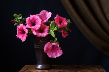 Beautiful background with flower - red petunia