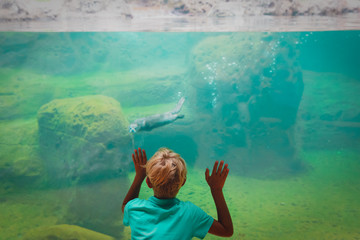 boy looking at otter in large aquarium