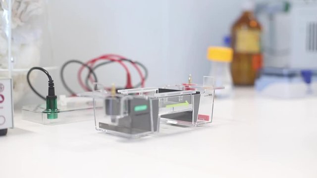 Gelelektrophorese