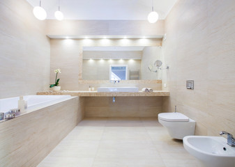 Obraz na płótnie Canvas modern bathroom interior