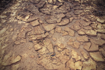 shell of earth cracked dried bark sand clay without water background