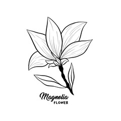 Magnolia flower in blossom, beautiful home decor and interior design, isolated illustration vector. Floral outline contour drawing for laser cuttling files. Spring blossom. Wildflower botanical plant.