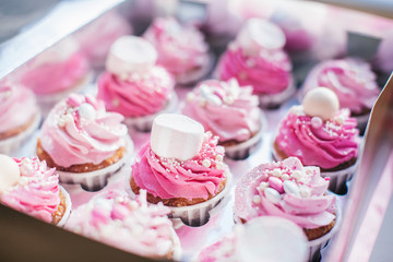 Cupcake packaging, delivery box, vanilla cupcakes with pink and white cream