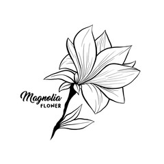 Magnolia flower in blossom, beautiful home decor and interior design, isolated illustration vector. Floral outline contour drawing for laser cuttling files. Spring blossom. Wildflower botanical plant.