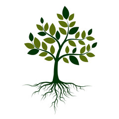 Green tree with roots on a white background. Vector Illustration © stas111