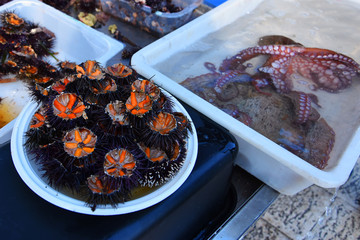 Fresh sea urchins (ricci di mare ) and octopus on sale in the market harbor of  Bari, Puglia...