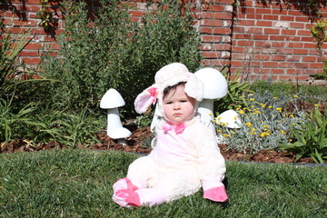 Baby in Little Lamb Costume