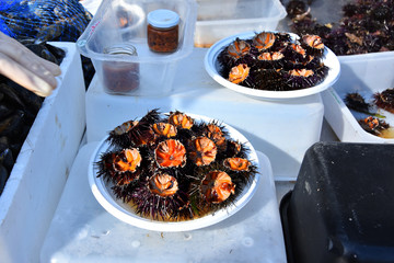 Fresh sea urchins (ricci di mare ) on sale in the market harbor of  Bari, Puglia region, Southern...