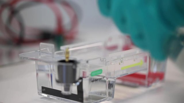 Gelelektrophorese Labor Experimente Wissenschaft