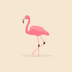 Pink flamingo in a flat design with shadow. Vector illustration