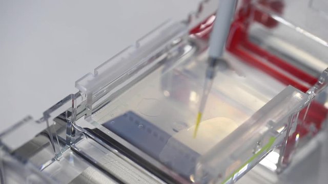 Gel animpfen Gelelekreophorese Labor Experimente Wissenschaft