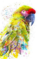 Paintography. Double exposure photograph of a tropical parrot combined with colorful hand drawn painting