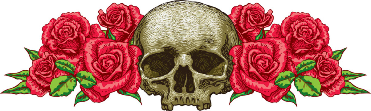 engraving vector image of skull with roses in vintage tattoo style