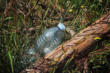 Plastic bottle thrown in the forest