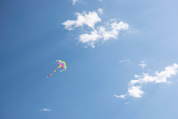 Rainbow kite in the sky. Summer time activity.
