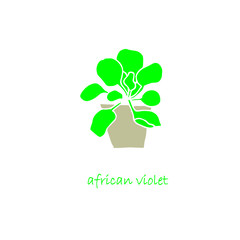 Umbrian Violet plant in pot icon set flat design object isolated stock vector illustration for web, for print