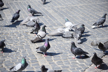 City of Warsaw, Poland, Europe
