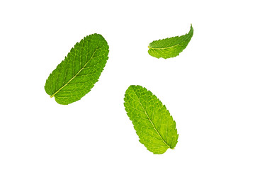 Fresh green mint or mentha leaves pattern isolated on white background. Flat lay, top view. Close up of peppermint.