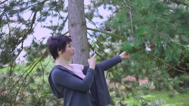 girl takes a picture of a pine on the phone