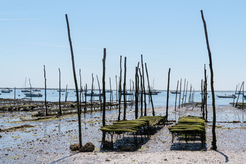 Fototapeta na wymiar Breeding oysters in the village of Herbe in Arcachon France