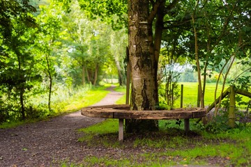 bench in the park