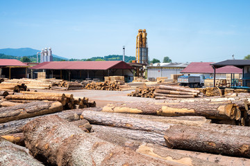 View of industrial sawmill factory for wood processing. Pile of tree trunks and planks in wood working plant.