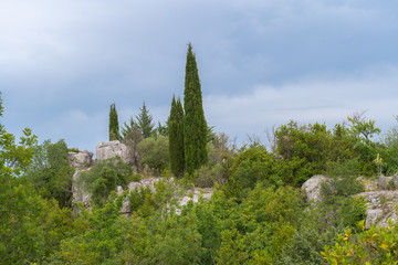 Sauve, France - 06 06 2019: Green vegetation in the sea of rocks