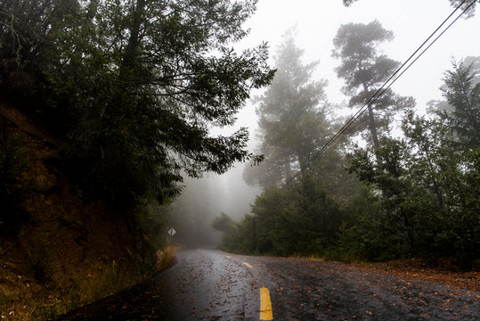 Roadway Curving Away Into Mist On Montain Top Covered In Trees