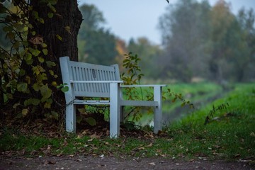 bench in the park