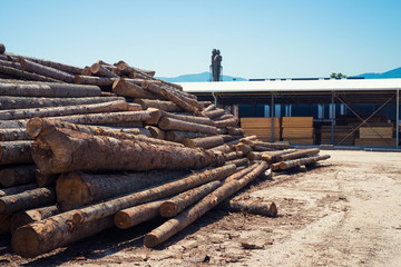 View of industrial sawmill factory for wood processing. Pile of tree trunks and planks in wood working plant.