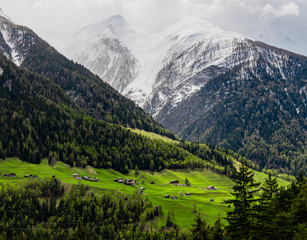 Obraz premium Classic travel green hills and forest with snowy mountain backgroud backdrop Switzerland