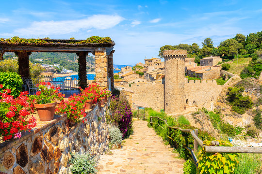 Flowers on coastal path in Tossa de Mar and view of castle with old town, Costa Brava, Spain