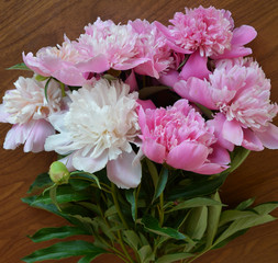 beautiful pink bouquet of peonies for decoration of holiday cards and backgrounds