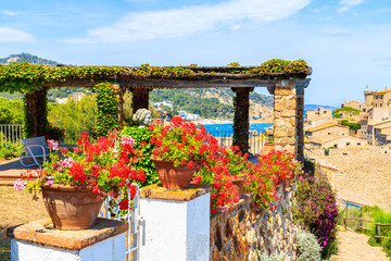 Fototapeta na wymiar Flowers on coastal path in Tossa de Mar and view of castle with old town, Costa Brava, Spain