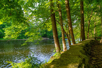 Fototapeta na wymiar A part of the Neversink River near Guymard Turnpike, tributary of the Delaware River Unique Area in the Catskills, NY.