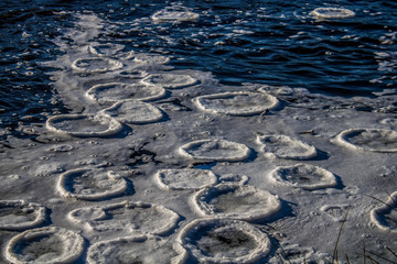 Round ice floes in open water