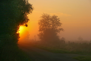 Fototapeta na wymiar Sun shining through deep mist at autumn