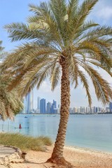 Abou Dhabi au moyen-orient