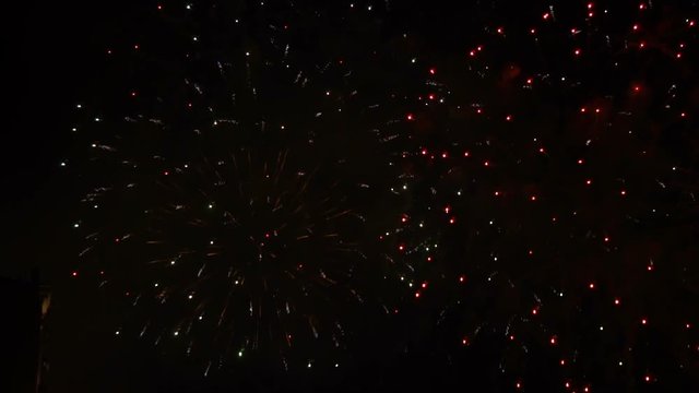 Fireworks sparkles in the sky at night