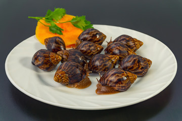 grape snails, akhatina, on a plate, as crude food, a rawism