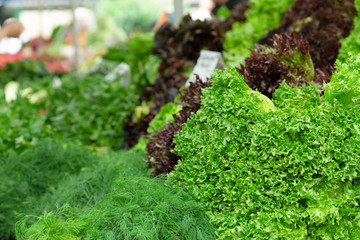  Fresh lettuce in a local farmers market