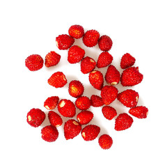 wild strawberries isolated on white