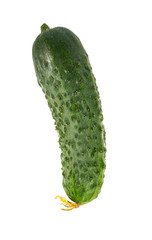 fresh cucumbers isolated on white background
