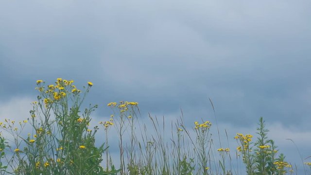 Motocross riders overcome the jump in slow motion. Jumping on a springboard.1920X1080 Full Hd.