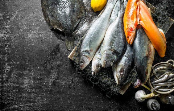 Fresh Raw Fish On Tray With Garlic And Spices.