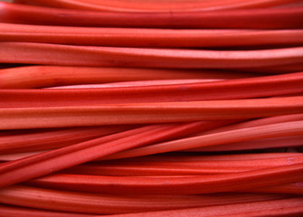 Frischer, leuchtend roter Rhabarber