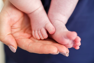  feet of a newborn baby on a blue background
